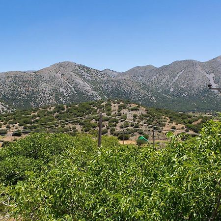 Villa Skyphos Ammoudari Buitenkant foto