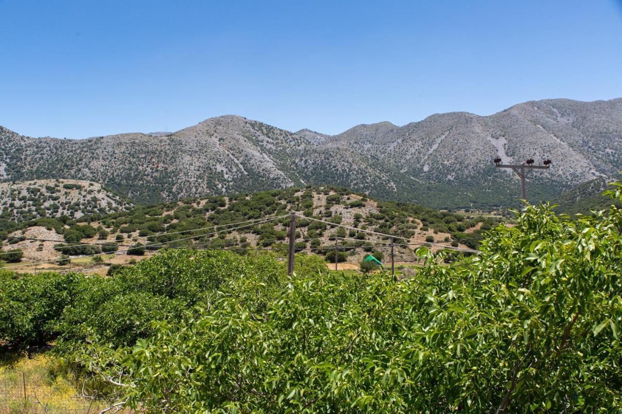 Villa Skyphos Ammoudari Buitenkant foto